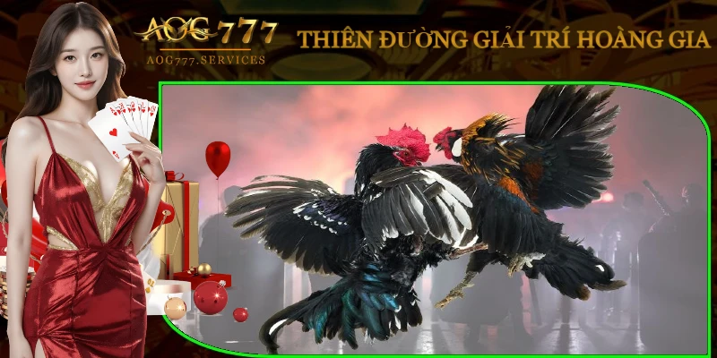 da-ga-alo-789-san-pham