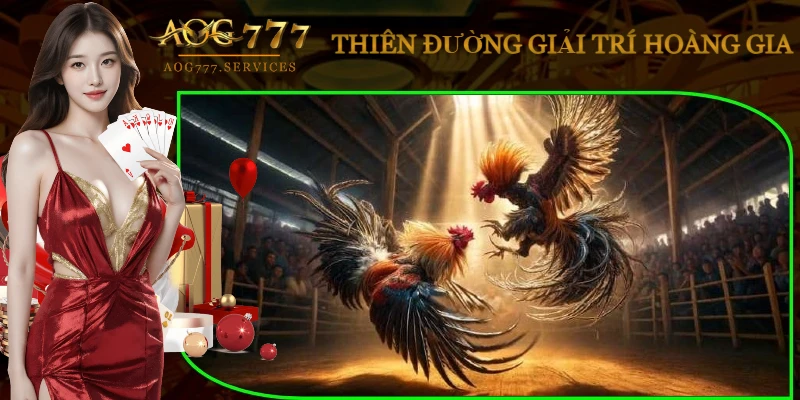 xem-da-ga-mang-anh-dai-dien