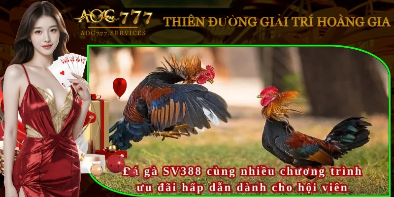 app-da-ga-truc-tiep-sv388