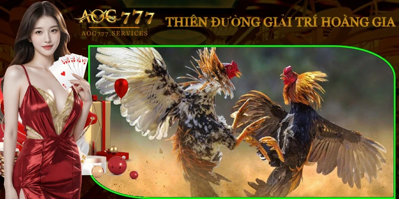 daga-aog777-thu-hut-vo-van-hoi-vien