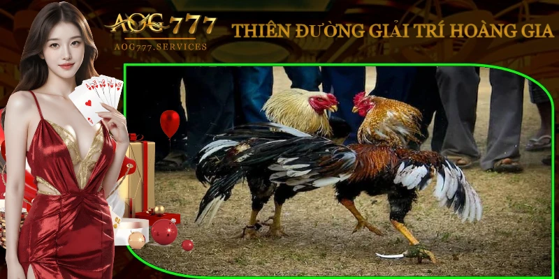lua-chon-app-uy-tin-aog777
