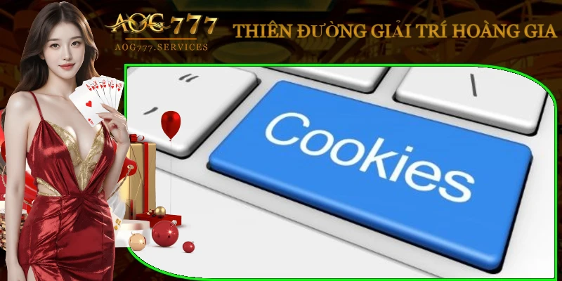 nhung-yeu-to-noi-bat-trong-quy-tac-an-toan-du-lieu-aog777